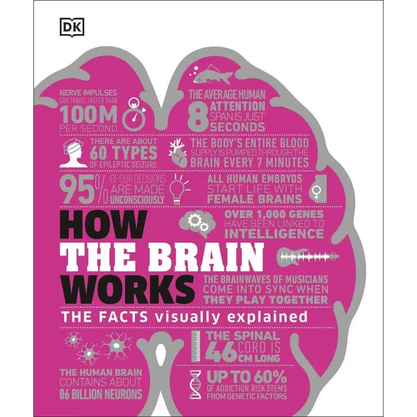 How the Brain Works