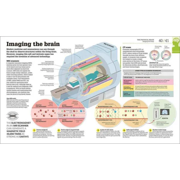How the Brain Works