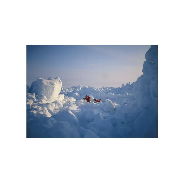 Philosophy for Polar Explorers. Erling Kagge