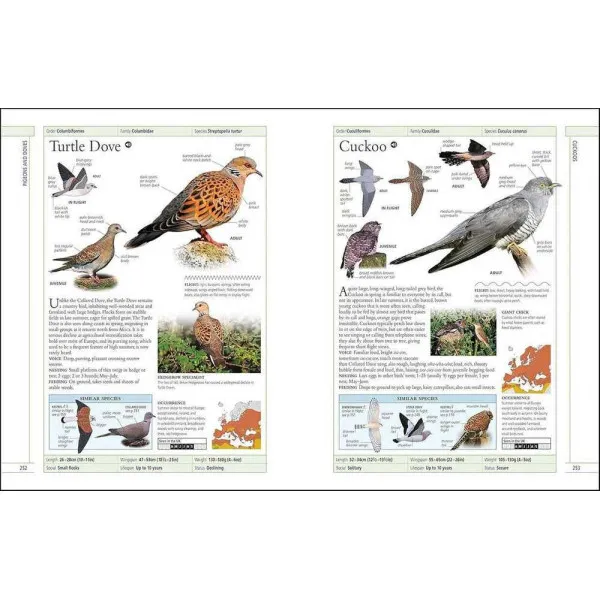 RSPB Complete Birds of Britain and Europe