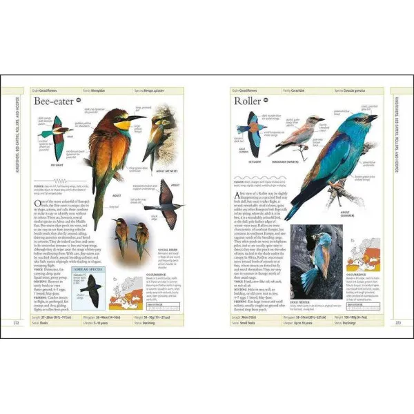 RSPB Complete Birds of Britain and Europe