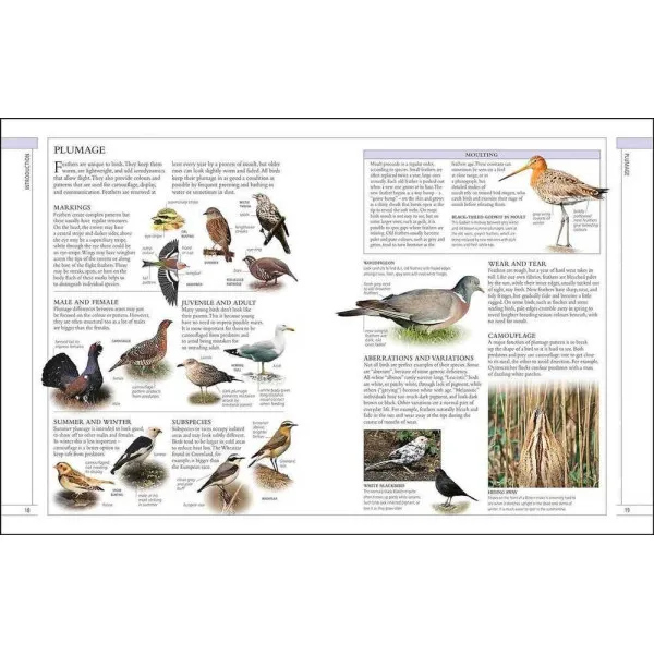 RSPB Complete Birds of Britain and Europe