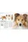 The Complete Dog Breed Book : Choose the Perfect Dog for You