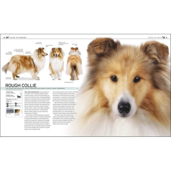 The Complete Dog Breed Book : Choose the Perfect Dog for You
