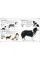 The Complete Dog Breed Book : Choose the Perfect Dog for You