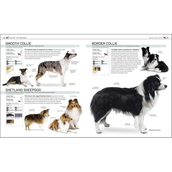 The Complete Dog Breed Book : Choose the Perfect Dog for You