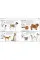 The Complete Dog Breed Book : Choose the Perfect Dog for You