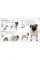 The Complete Dog Breed Book : Choose the Perfect Dog for You