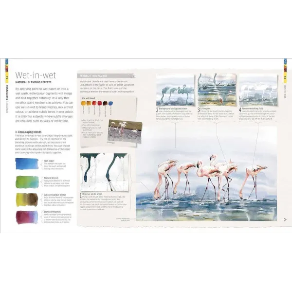 Watercolour Techniques for Artists and Illustrators