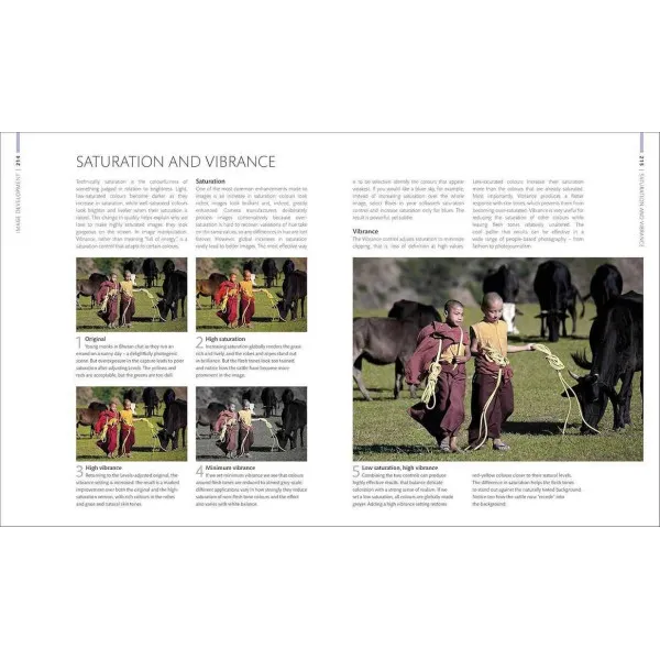 Digital Photographer's Handbook