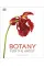 Botany for the Artist