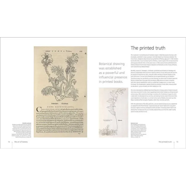 Botany for the Artist