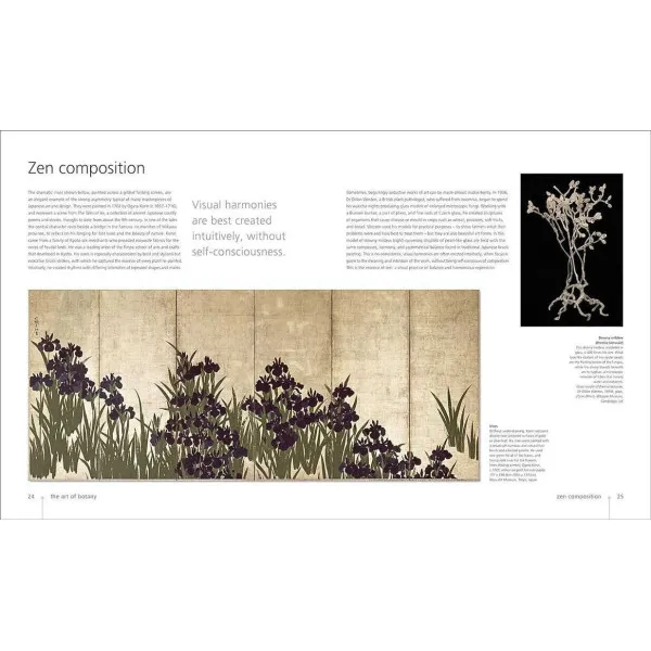 Botany for the Artist