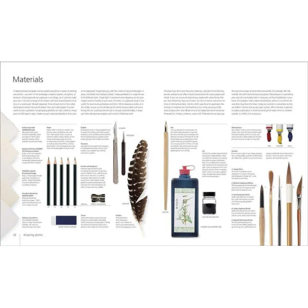 Botany for the Artist