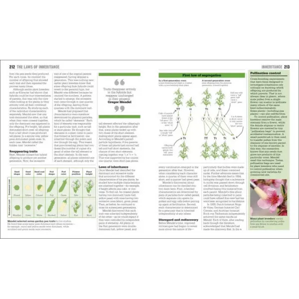 The Biology Book : Big Ideas Simply Explained