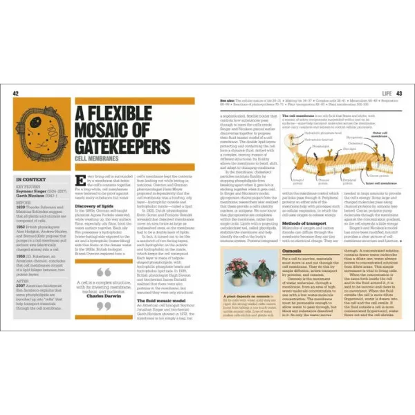 The Biology Book : Big Ideas Simply Explained