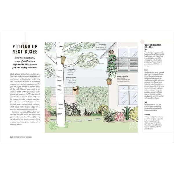 How to Attract Birds to Your Garden
