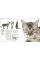 The Complete Cat Breed Book