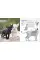 The Complete Cat Breed Book