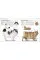 The Complete Cat Breed Book