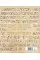 World History : From the Ancient World to the Information Age