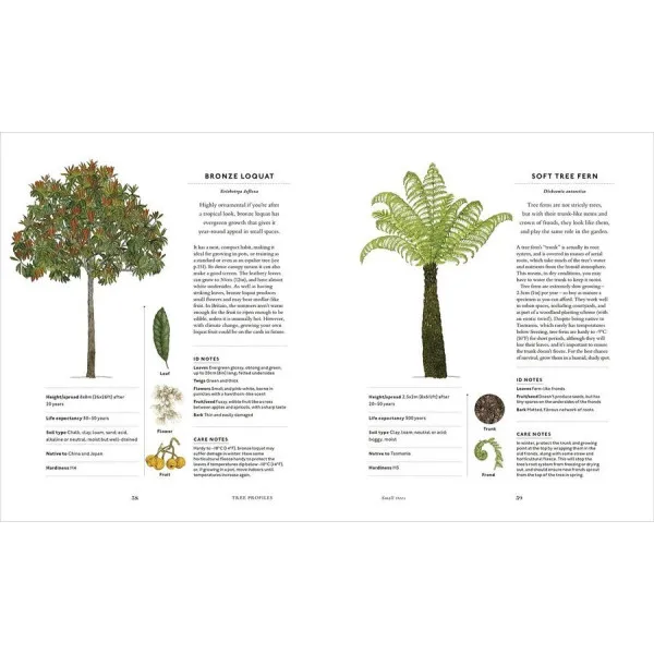 RHS The Tree in My Garden : Choose One Tree, Plant It - and Change the World 