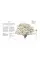 RHS The Tree in My Garden : Choose One Tree, Plant It - and Change the World 