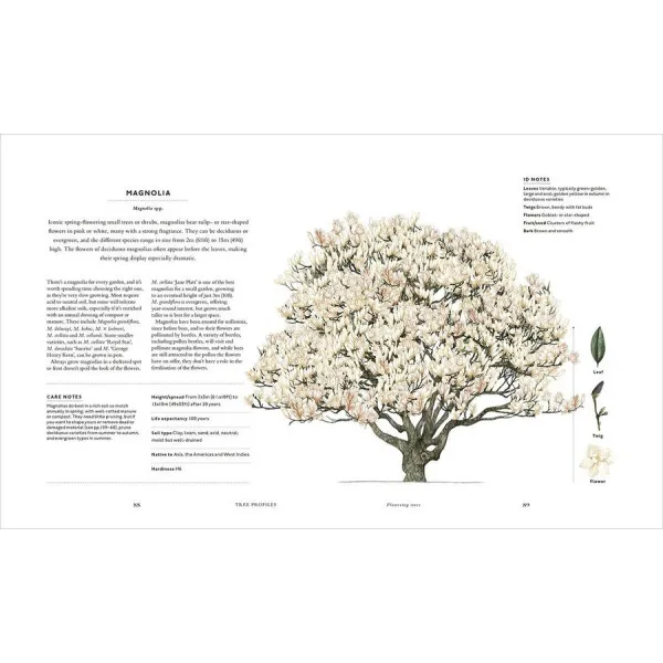 RHS The Tree in My Garden : Choose One Tree, Plant It - and Change the World 