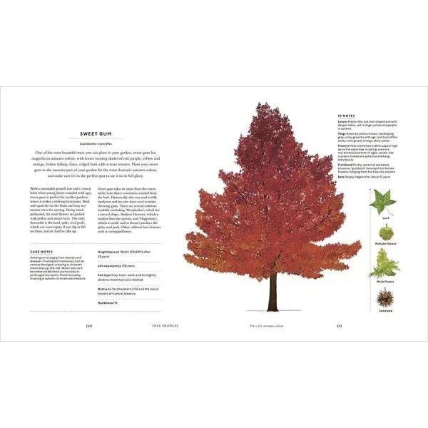 RHS The Tree in My Garden : Choose One Tree, Plant It - and Change the World 
