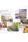 Brussels, Bruges, Antwerp and Ghent