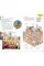Brussels, Bruges, Antwerp and Ghent