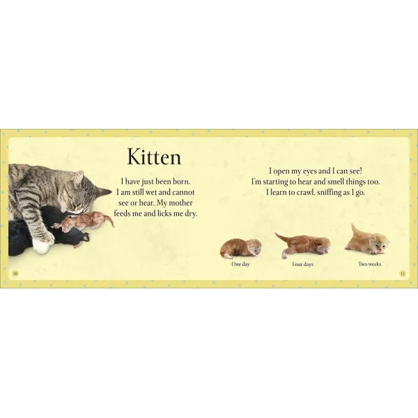 See How They Grow Pets