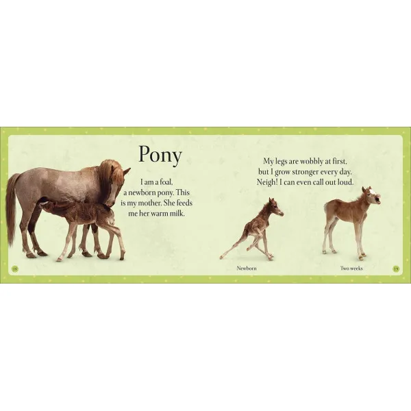 See How They Grow Pets