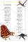 Dinosaurs and Other Prehistoric Life