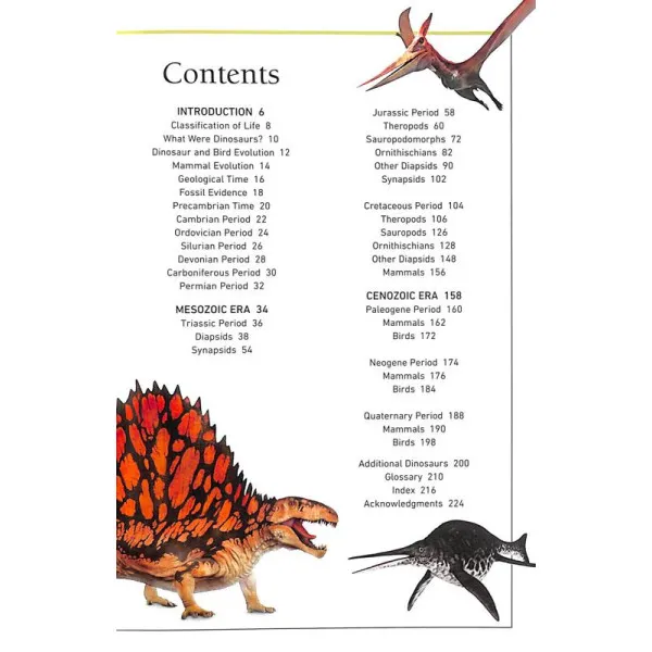 Dinosaurs and Other Prehistoric Life