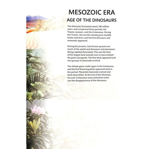 Dinosaurs and Other Prehistoric Life