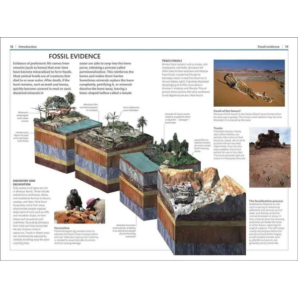 Dinosaurs and Other Prehistoric Life