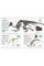 Dinosaurs and Other Prehistoric Life
