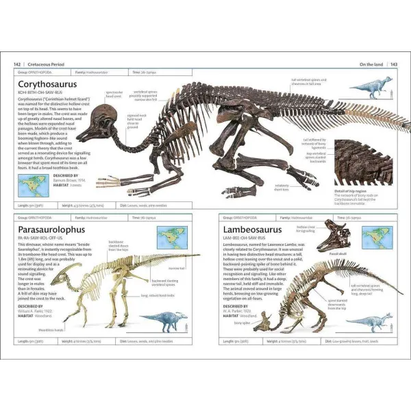 Dinosaurs and Other Prehistoric Life