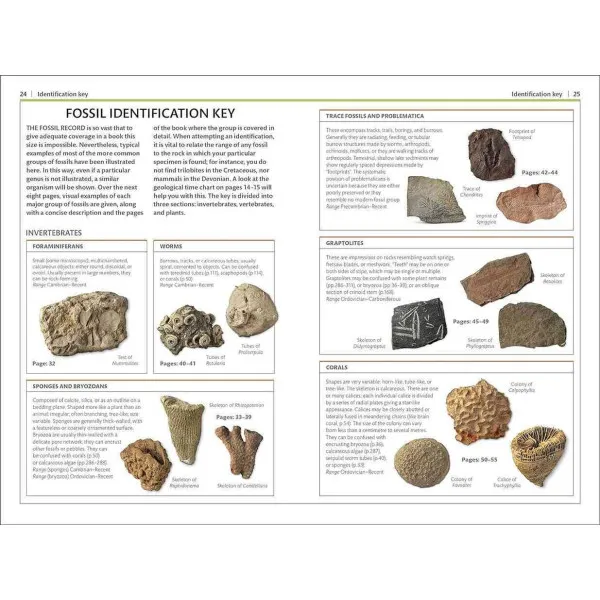 Fossils