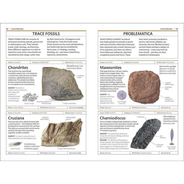 Fossils