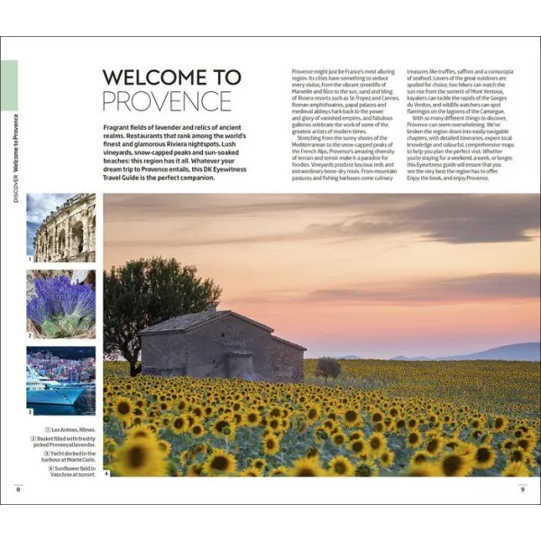DK Eyewitness Provence and the Cote d'Azur 