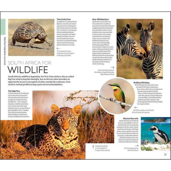DK Eyewitness South Africa