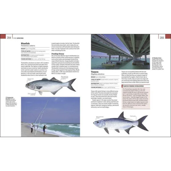 The Complete Fishing Manual