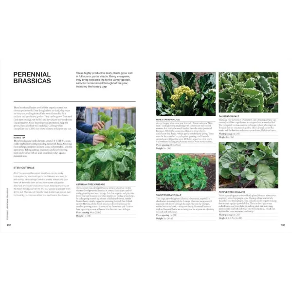 The Permaculture Garden