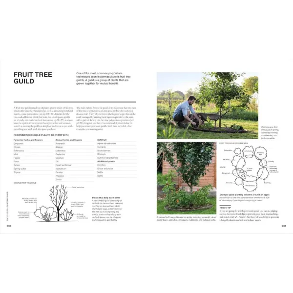 The Permaculture Garden