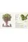 The Tree Book : The Stories, Science, and History of Trees 