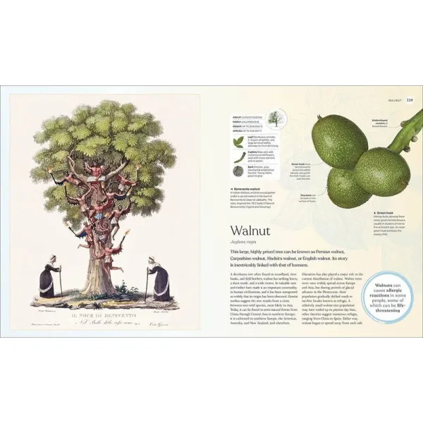 The Tree Book : The Stories, Science, and History of Trees 
