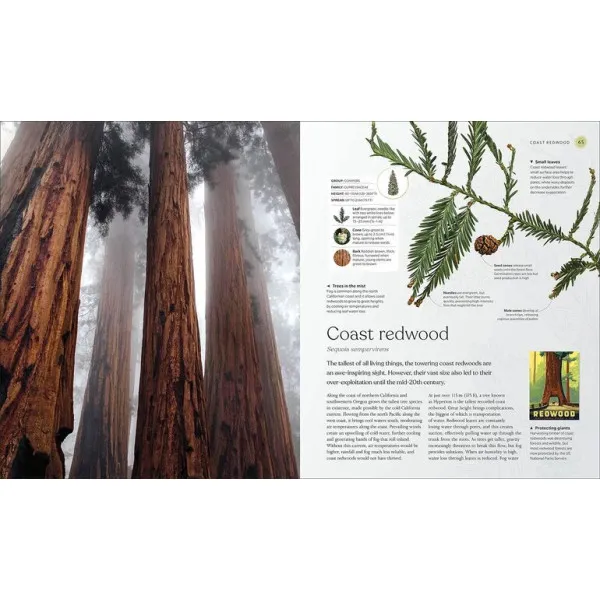 The Tree Book : The Stories, Science, and History of Trees 