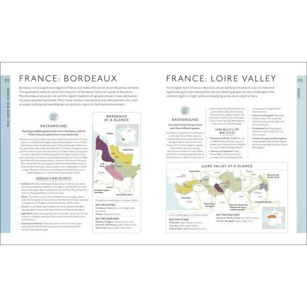 Wine A Tasting Course : From Grape to Glass